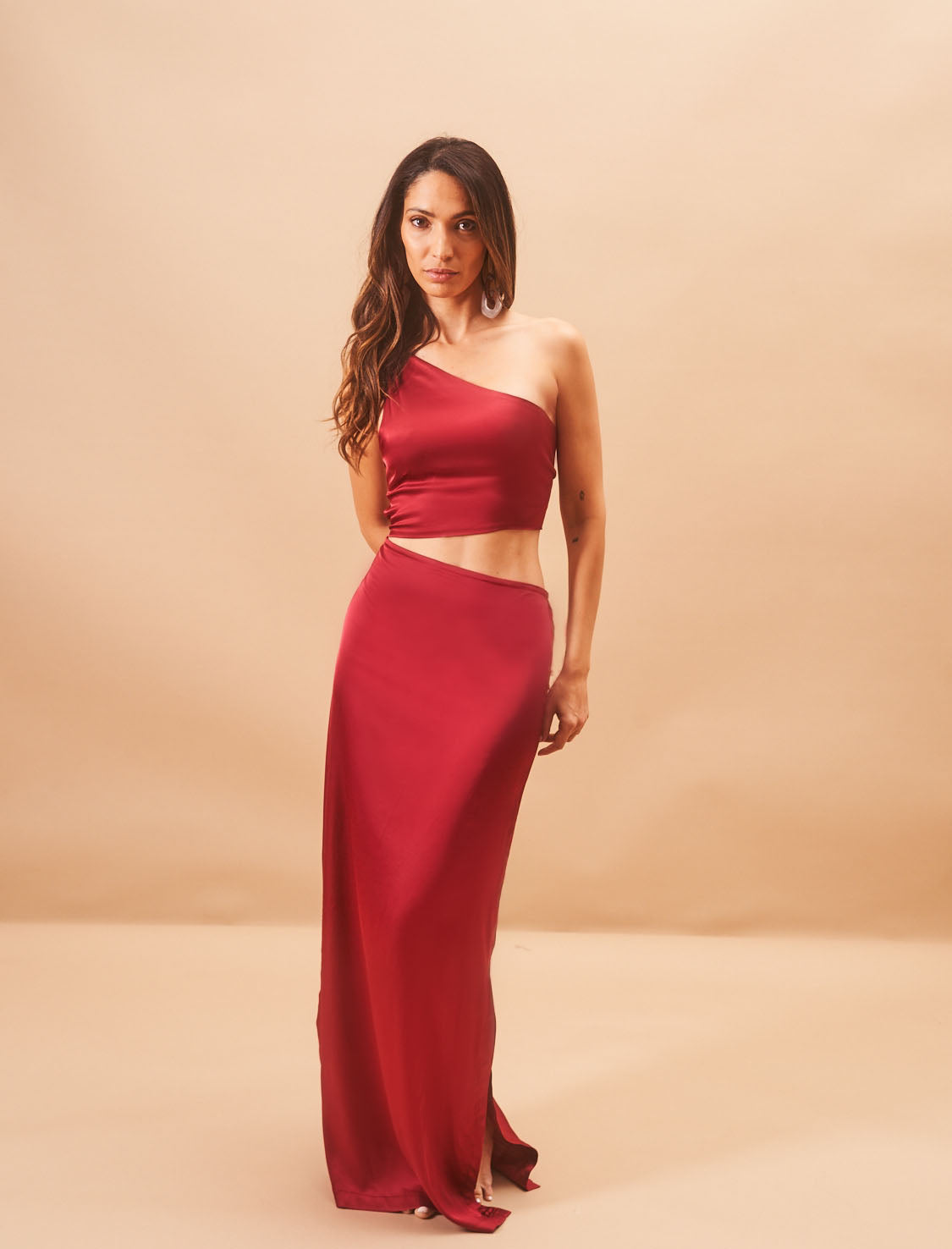 Wine Iris Dress